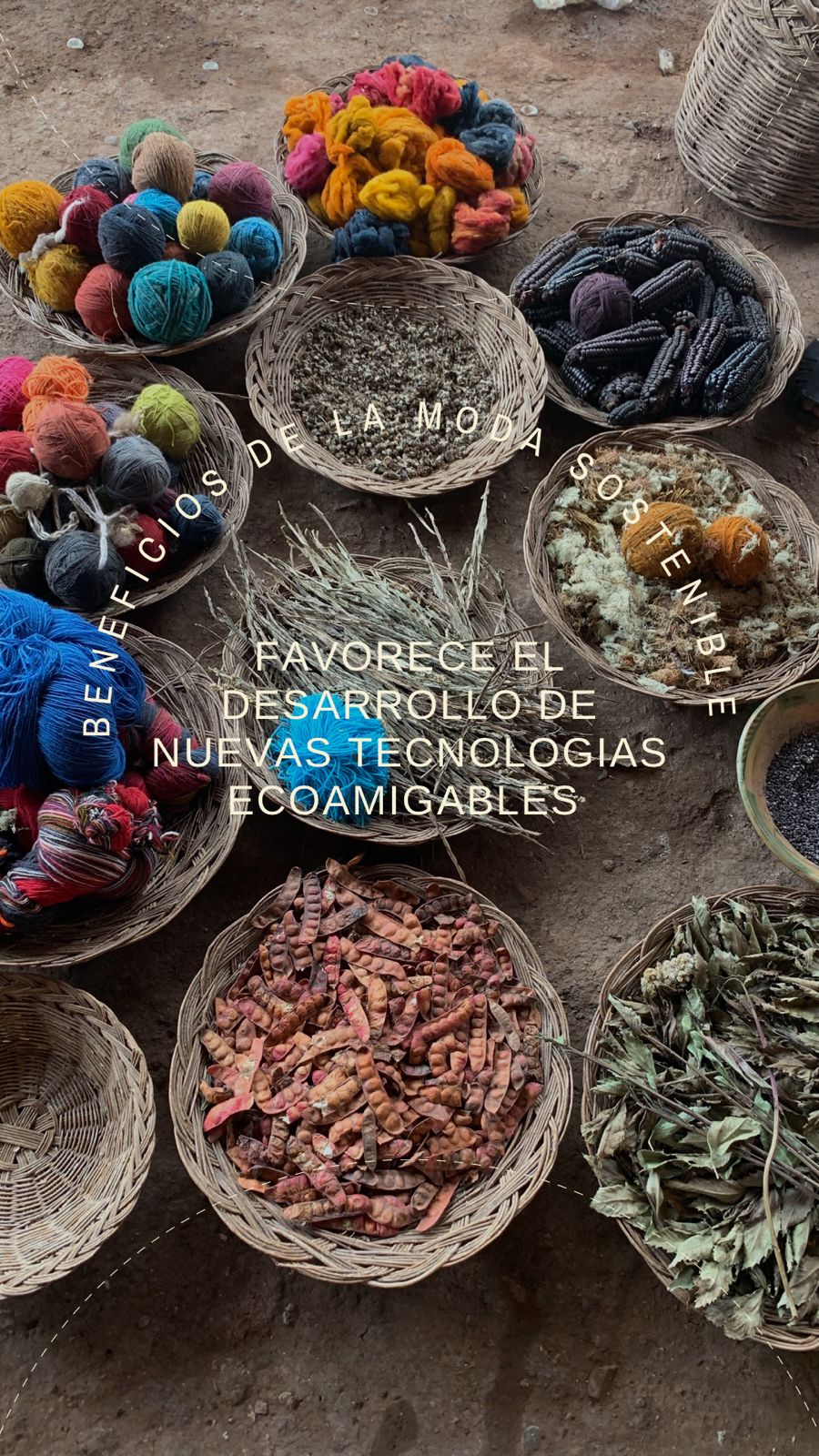 Charlotte - Caramelo