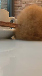 Elisa Artisan - Caramelo